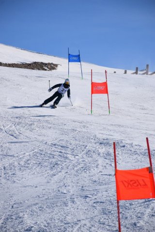 Чемпионат Узбекистана 2024